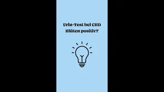 Urin-Test bei CBD Blüten positiv?