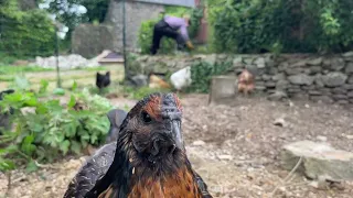 Gardening is more fun with a friend (or ten!)