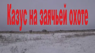 Казус на заячьей охоте - Охота на зайца