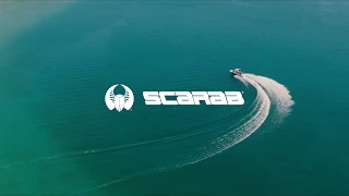 Scarab 2019 Brand Short