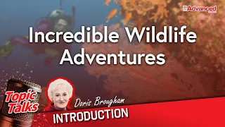 令人驚異的野生動物冒險 | Incredible Wildlife Adventures (Introduction)