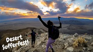 SUPREME SUFFERFEST ON ANZA BORREGO'S RABBIT PEAK