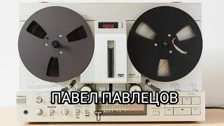 Павел Павлецов - Меня Нет, Тварь, Спокойной Ночи (акустика) 2019