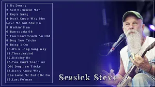 Seasick Steve Greatest Hits - Seasick Steve Full ALbum 2022