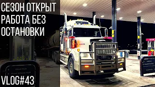 Сезон открыт - Работа без остановки | Working non-stop Vlog #43