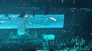 SHEEP - 8/13/22 - Roger Waters - This is Not a Drill - UBS Arena, Elmont NY