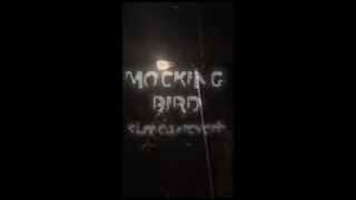 Mockingbird only good part (slowed+reverb)