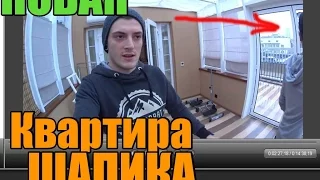 Новая Квартира Шапика/ Стас Табол. Хач