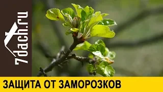 🏡 Как защитить сад от заморозков и резкой смены погоды - 7 дач