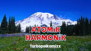 Turbopolkamixx -  Atomik Harmonik