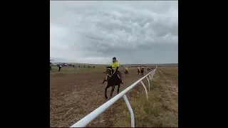 Тай бәйге 30/09/2023ж Талдықорған, Кубок Әкім, 1-Галатай 2-Саят Арынов, 3-Айдос, Отар ауыл