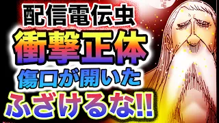 【ワンピース 1112ネタバレ最新話感想】配信電伝虫の正体判明！ステューシーの最後の仕事！恩に報いる事！(予想妄想)