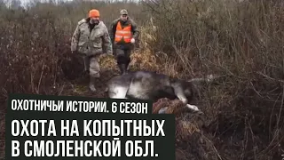 Охота НА КОПЫТНЫХ в Смоленской области Охотничьи истории  #15