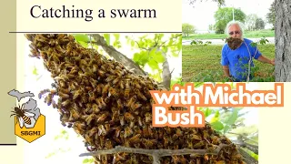 Catching Swarms with Michael Bush