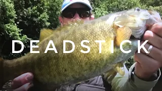 Deadstick Summer River Smallmouth  //  Rigging and Sight Fishing