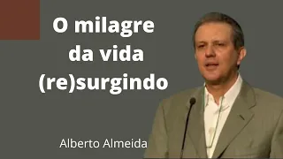 O milagre da vida (re)surgindo - Alberto Almeida