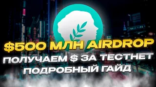 Metis Testnet Airdrop | Пул В $500млн  - Гарантированная Награда | Гайд на 100% Аирдроп | Метис Дроп