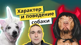 Как формируется характер и поведение собаки