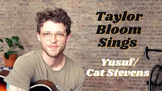 Where Do The Children Play - Yusuf / Cat Stevens | Cover