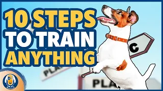 How To Teach Your Dog Anything With My Training Plan #172 #podcast