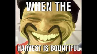 when the harvest is bountiful