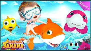 Золотое время игр Baby Shark 🎪🦈- #babyshark - Детские песни - Детские стишки и детские песни