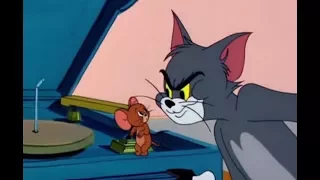 Tom and Jerry - 102 Episode, Down Beat Bear 1956 - [ T&J Movie ]