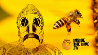 BIOLOGICAL WEAPONS to help HONEY BEES fight VARROA MITES