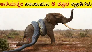 ಆನೆಯನ್ನೇ ಸಾಯಿಸುವ ಕ್ರೂರ ಪ್ರಾಣಿಗಳು | 8 Animals That Can Kill an Elephant | Wild Animals Vs Elephant |