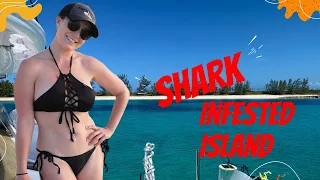 We Sail to a SHARK INFESTED Island! - Lazy Gecko Sailing VLOG 239