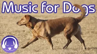 15 Hours of Classical Music for Dogs - Help your Dog Sleep FAST! (2019)