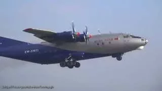 Ruby Star Antonov An-12