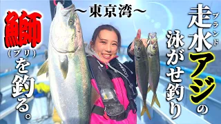 【アジ釣り】東京湾走水でアジを泳がせたら驚愕の結果に！釣り方解説有り【ビシアジ釣り】【高取丸】【走水ブランド鯵】