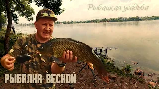 РЫБАЛКА 2024, РЫБАЦКАЯ УСАДЬБА, рыбалка близ Алматы, #fishing #vizard #carpfishing #рыбалка #carp