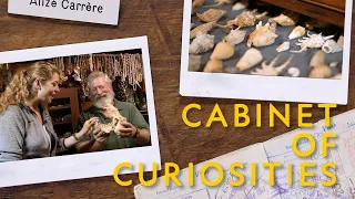 Modern Explorer | Episode 1 | Cabinet of Curiosities