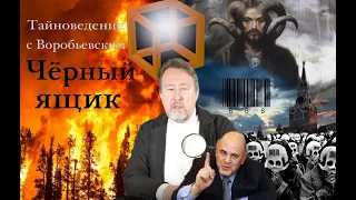 Бред Цифровизации [Чёрный ящик - 22 выпуск]