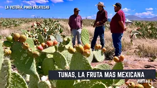 Las maravillas que NO CONOCÍAS SOBRE LAS TUNAS parte 3/3