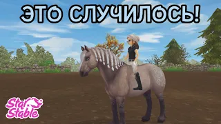 Бесплатная лошадь | Друидский загон | Star Stable Online