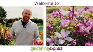 All About Us - Gardening Express