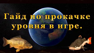 Fishing Planet. Гайд по прокачке и фарму в игре. Как быстро прокачаться.