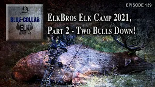 ElkBros Elk Camp 2021! - Part 2, Two Bulls Down!