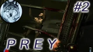 Prey (2006). Прохождение. Part 2. Крушение - Жертвы. (no deaths)