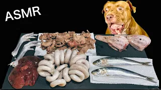 ASMR MUKBANG PITBULL EATING RAW FOODS PORK UTERUS DUCK HEADS CHICKEN FEET