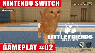 Little Friends: Dogs & Cats Nintendo Switch Gameplay #2 | Adopting a Cat