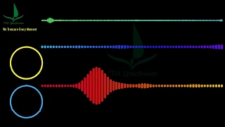 LarsM - Lovers #LarsM #Lovers [Audio Visualizer] #AudioVisualizer #HouseMusic  | TTA Spectrum