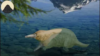 Evolution of the Platypus