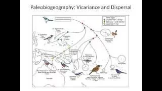 Biogeography: vicariance and dispersal