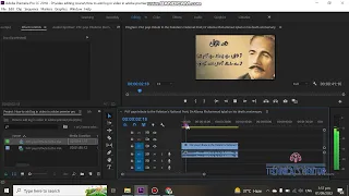 How to remove copyright issue  of video for YouTube in adobe Premier pro