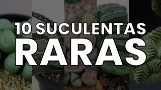 10 Suculentas RARAS | Rare Succulents