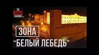 Самые хитрые тайники в тюрьме Белый лебедь